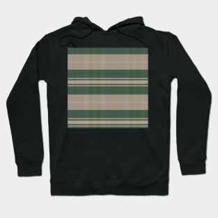 Cottagecore Aesthetic Arable 1 Hand Drawn Textured Plaid Pattern Hoodie